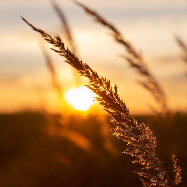 Beautiful view of morning light