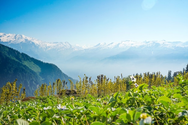 Free photo beautiful view of the mountains on a sunny day