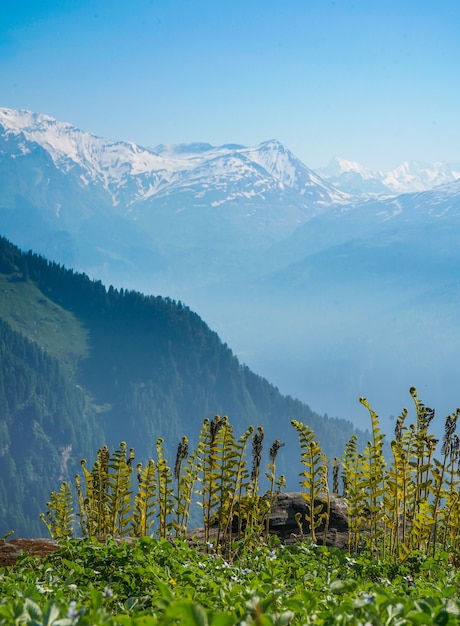 Beautiful view of the mountains on a sunny day