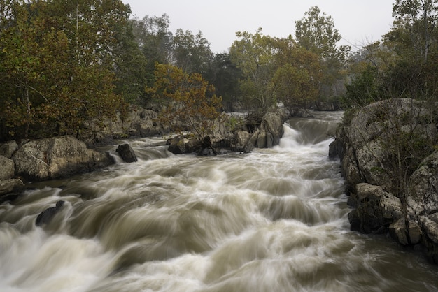 Free Photo beautiful view of a muddy river going wildly among the stones and trees