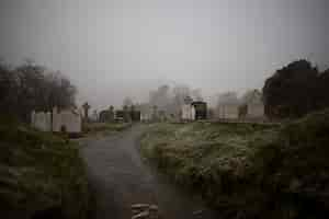 Free photo beautiful view of an old graveyard surrounded by trees captured in the foggy weather