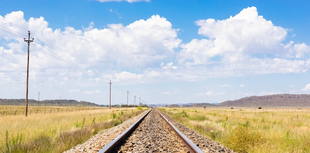 Free photo beautiful view of old railroad tracks in a rural area