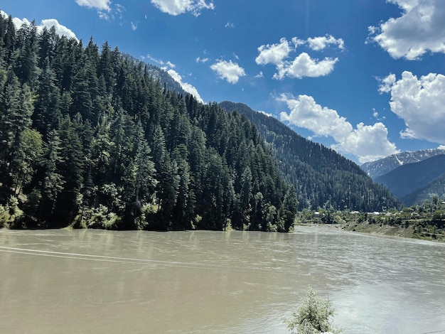 Beautiful view of rice fields in the lush green Leepa Valley Kashmir Pakistan