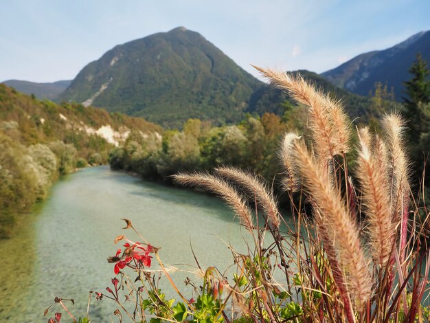 Beautiful view of a river surrounded by forested mountains under a bright sky