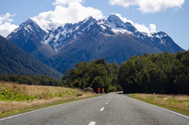 Free photo beautiful view of the road leading to the milford sound in new zealand