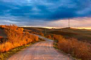 Free photo beautiful view of a road in the tuscan countryside during the autumn season