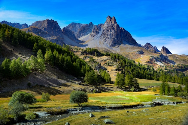 Beautiful view of rocky mountains with trees