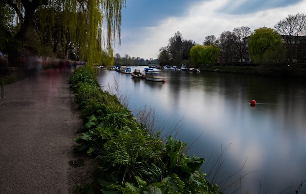 Free Photo beautiful view of the sailing boats on a canal surrounded by plants and willow trees