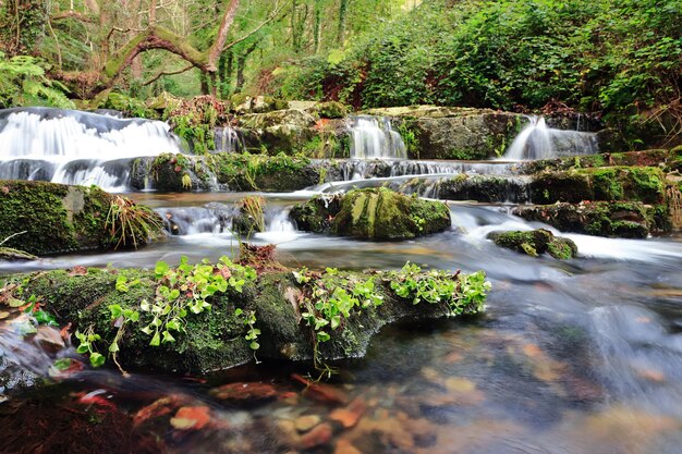 Beautiful view of small waterfall and big stones covered with plants in the jungle