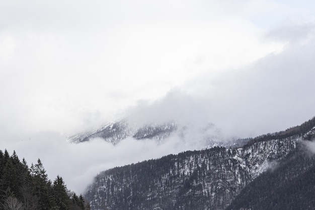 Free photo beautiful view of the snowy mountains on a foggy day