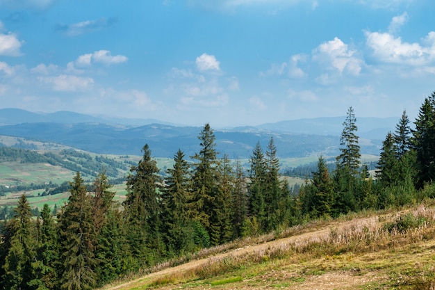 Beautiful view of summer Carpathian mountains