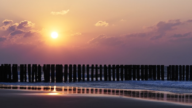 Free Photo beautiful view of the sunset with purple clouds over the beach