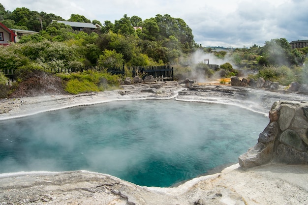 Free photo beautiful view of the te puia geyser in rotorua, new zealand