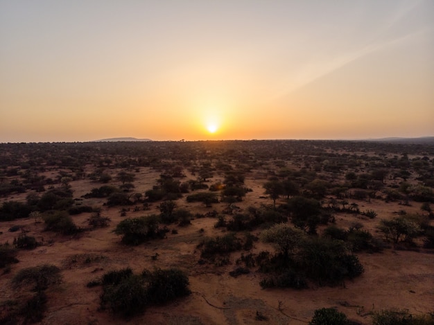 Beautiful view of the trees covered field under the sunset captured in Samburu, Kenya