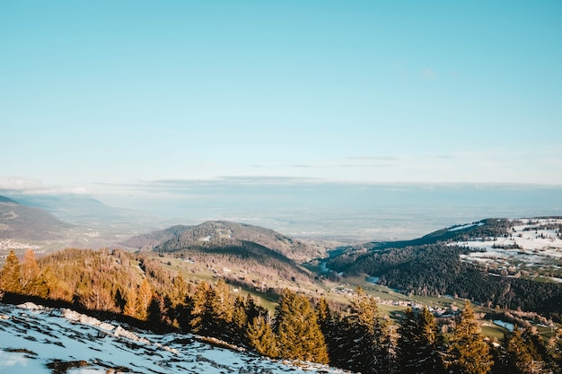 Beautiful view of the trees on a snow covered hill with the fields