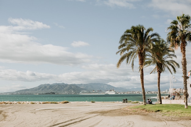 Beautiful view of a tropical sandy beach with palm trees