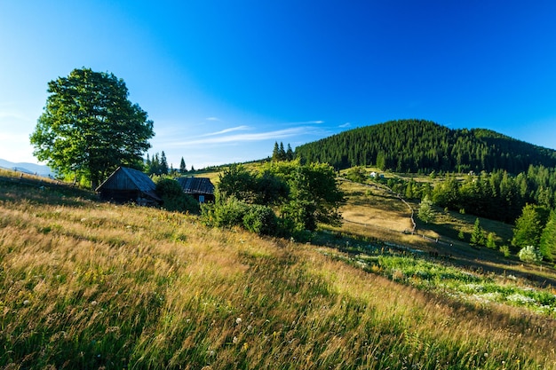 Beautiful view of village in Ukrainian Carpathian mountains