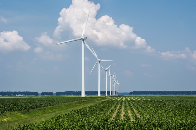 Free Photo beautiful view of the wind turbines on a grass covered field captured in holland