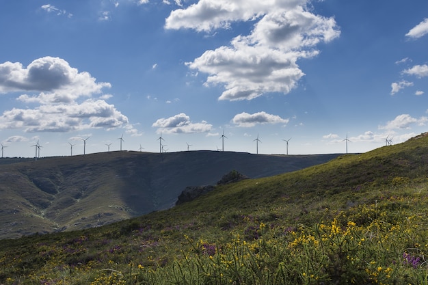 Free Photo beautiful view of windmills on a hill with a cloudy blue sky