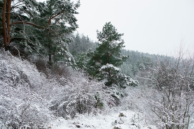 Beautiful view winter time