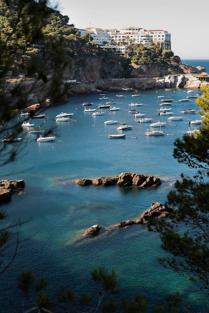 Free Photo beautiful view with boats