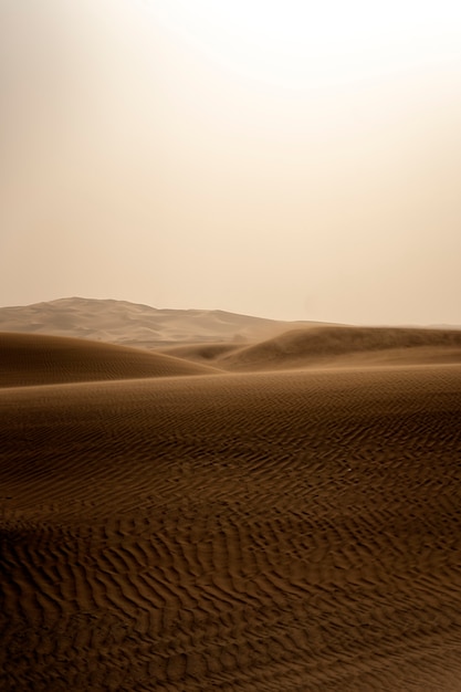 Free Photo beautiful and warm desert landscape