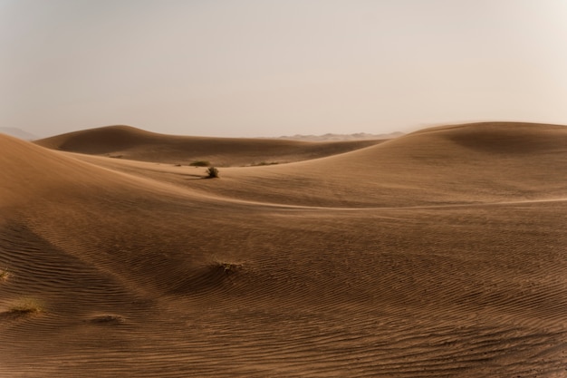 Beautiful and warm desert landscape