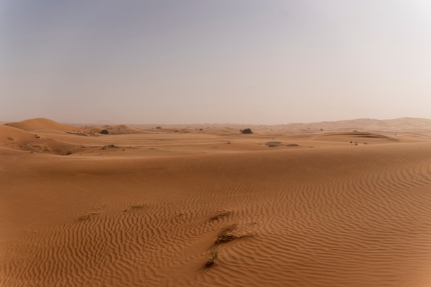 Beautiful and warm desert landscape