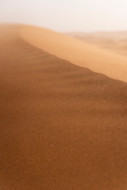 Free Photo beautiful and warm desert landscape