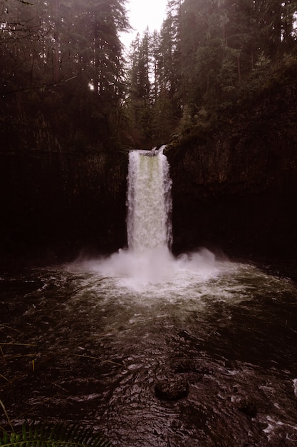 A beautiful waterfall in a dense forest