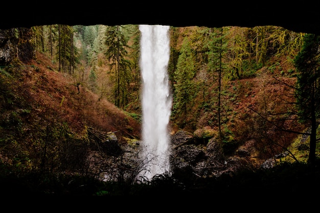 Free photo beautiful waterfall in a rocky forest surrounded by greenery