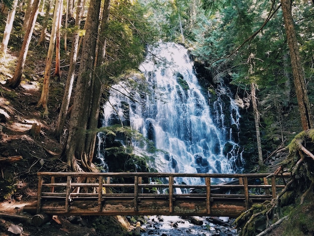 Free Photo beautiful waterfall and a wooden small bridge