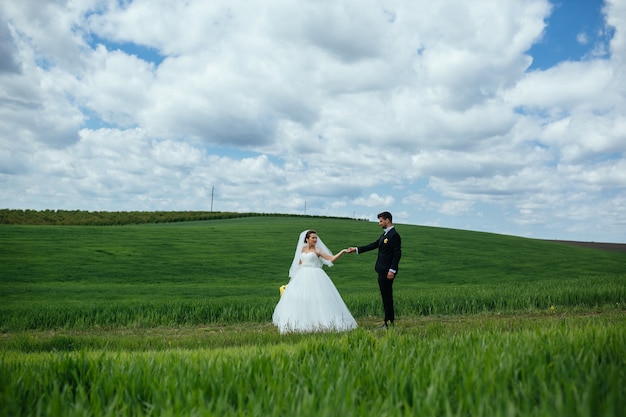 Beautiful wedding couple is walking on the green field