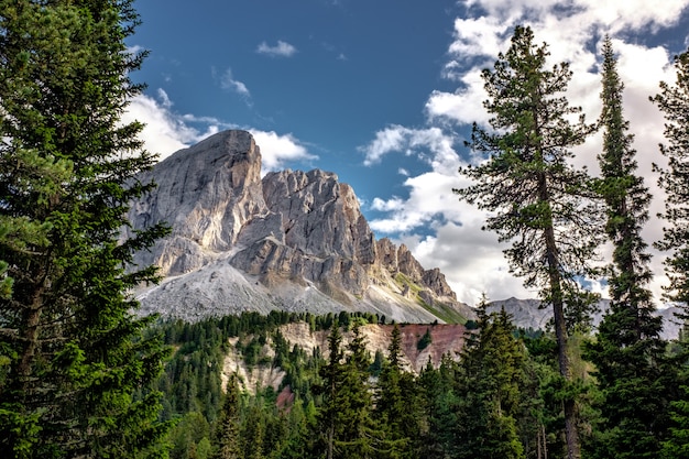 Free photo beautiful white mountain with evergreen tree forest