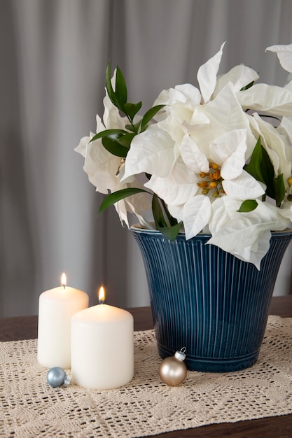 Free Photo beautiful white poinsettia arrangement