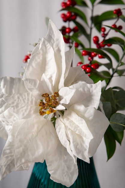 Beautiful white poinsettia composition