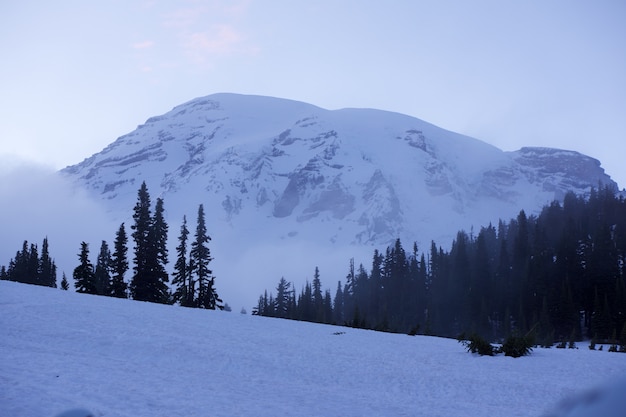 Free Photo beautiful white winter scenery from the mount rainier national park, washington state