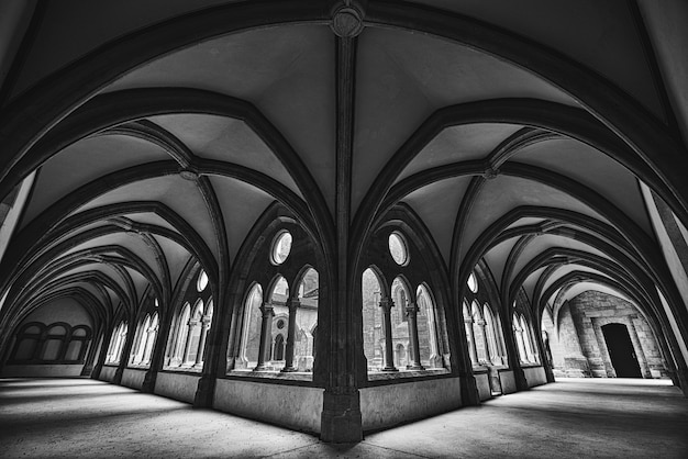 Free photo beautiful wide shot of a medieval fantasy hallway in black and white