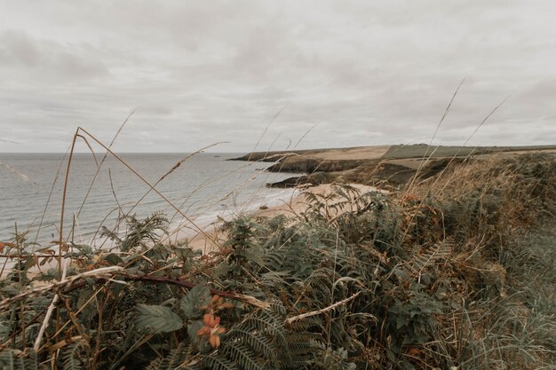 Beautiful wide shot of the ocean and greenery on the shoreline with amazing cloudy sky