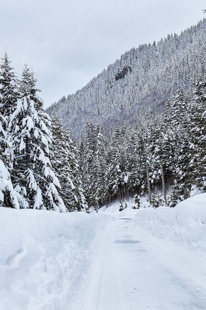 Beautiful winter landscape with mixed snow. Nature winter background.