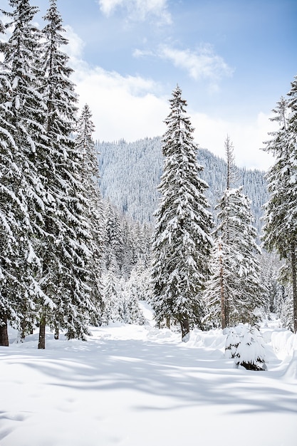 Free photo beautiful winter landscape with trees unde heavy snow. magical scenery