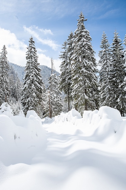 Free photo beautiful winter landscape with trees unde heavy snow. magical scenery