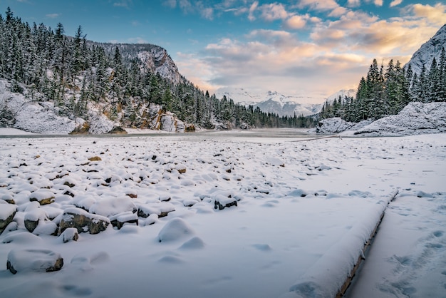 Free photo beautiful winter scenery in a forest surrounded by hills under the cloudy sky