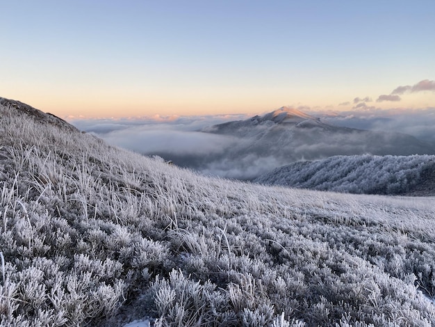 Free photo beautiful winter view of the field in poland bieszczady