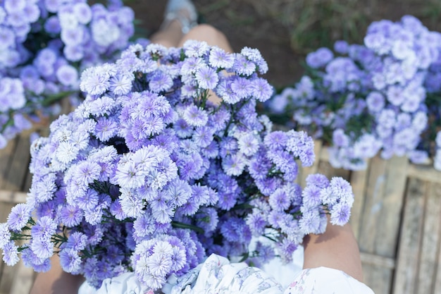 Beautiful woman enjoying flowers field