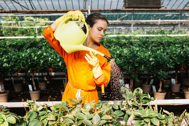 Beautiful woman taking care of plants in greenhouse