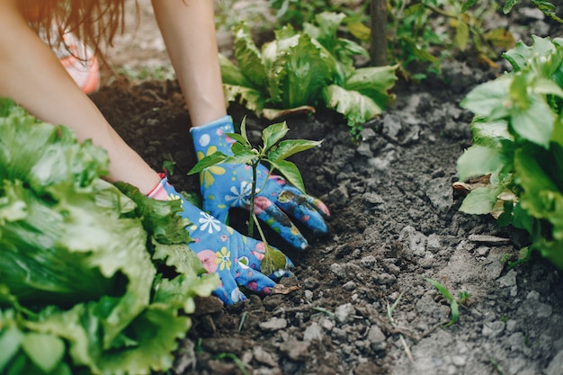 Beautiful woman works in a garden 