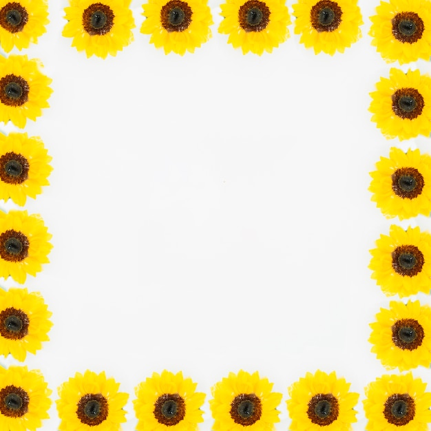 Free photo beautiful yellow flower forming white frame