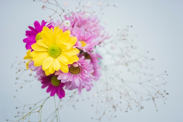 Free photo beautiful yellow flower with purple flowers