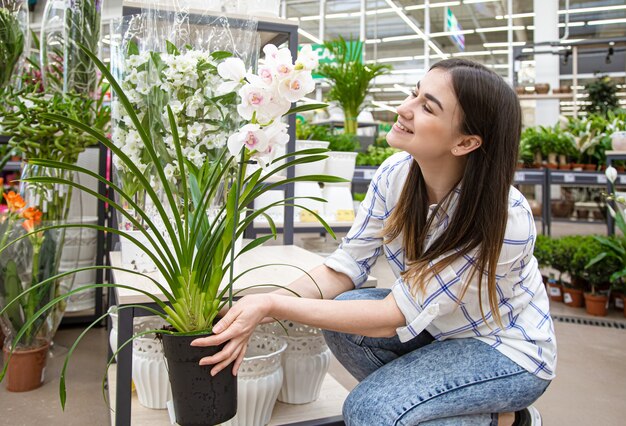 Beautiful young woman in a flower shop and choosing flowers. The concept of gardening and flowers .